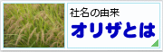 社名の由来　オリザとは